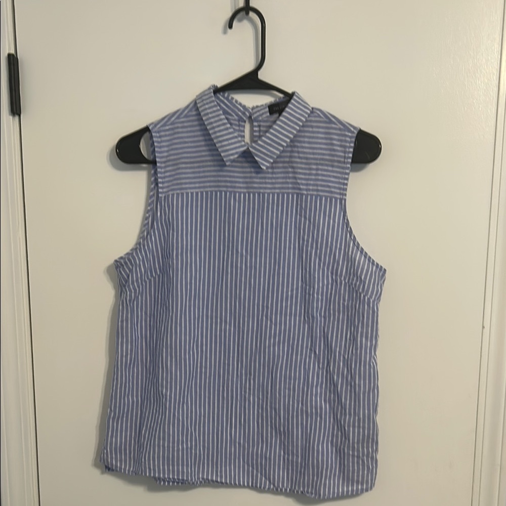 The Limited Blue and White Sleeveless Button Down Blouse